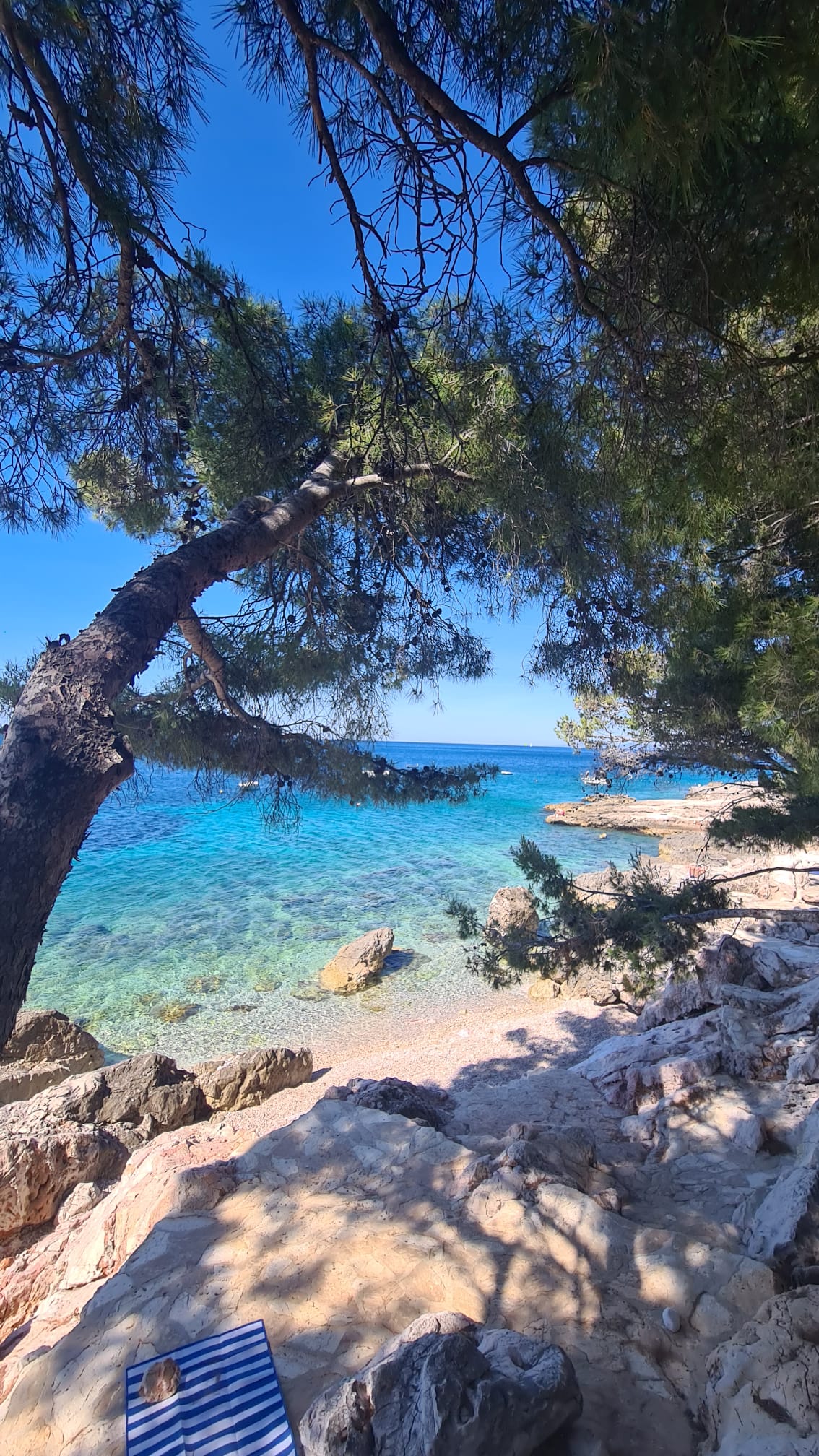 78d7a035-4ea0-44c0-949c-d068048d7cc5